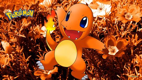 Charmander Pokeball Wallpapers - Top Free Charmander Pokeball Backgrounds - WallpaperAccess