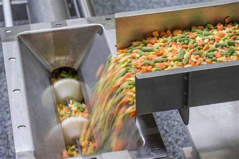 The Ultimate Guide for Stainless Steel Conveyors in Food Processing