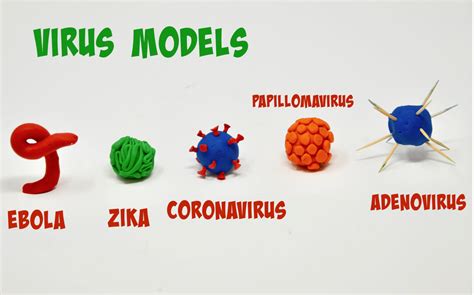 Easy Virus Models - Playdough Models of Ebola, Papillomavirus, ZIKA