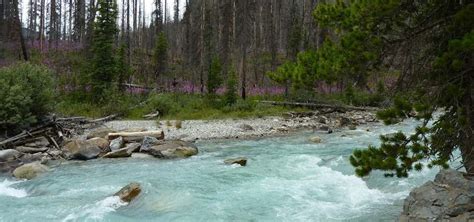 Marble Canyon Campground, Alberta | Roadtrippers