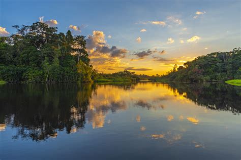 3 motivi per visitare la foresta pluviale amazzonica | Grand Amazon ...