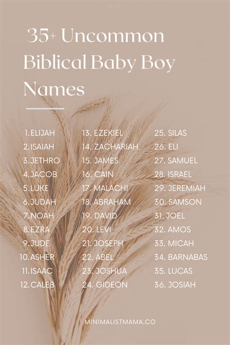 65+ Unique Biblical Boy Names with Meanings 2024