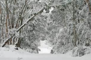 File:Kanangra winter wonderland.jpg