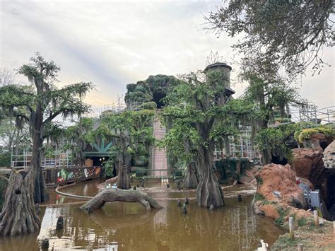 PHOTOS: Briar Patch Turned Into Swamp at Tiana’s Bayou Adventure in ...