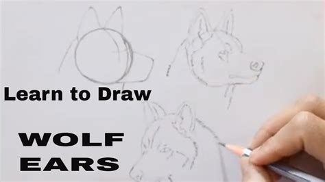 Drawing Gacha Wolf Ears - img-dink