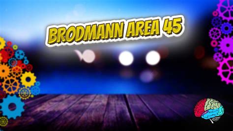 Brodmann area 44 - Know It ALL 🔊 - YouTube