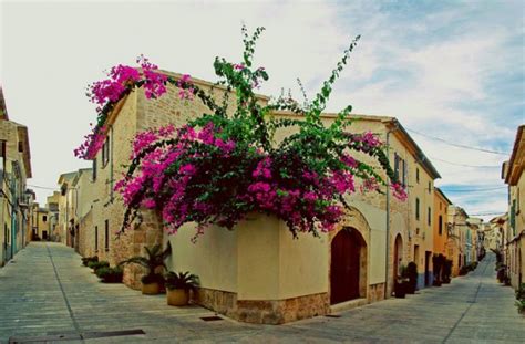 Alcudia Old Town