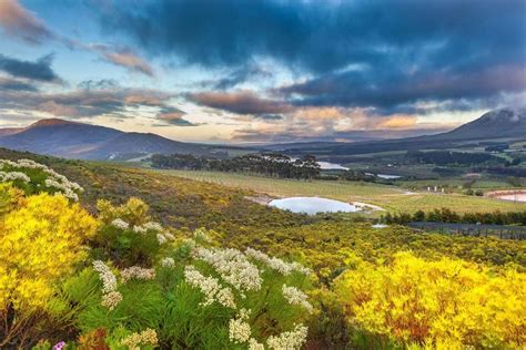 Overberg Attractions, The Overberg, Western Cape, South Africa