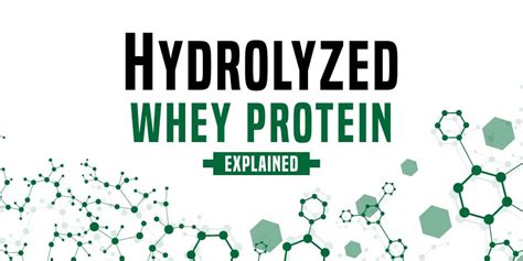 What Is Whey Protein Hydrolysate?