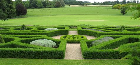 Parterres & Topiary - Historic Garden Restoration