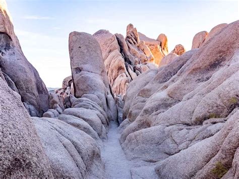 Arch Rock, Joshua Tree: Trail Guide — The Discoveries Of