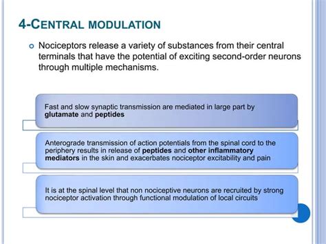 Nociceptors the sensors of the pain pathway | PPT