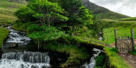 Kunoy, Faroe Islands: Home of the Famous Faroese Forest