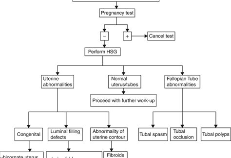 Cpt Code 58340 Hysterosalpingogram/hsg Test Coding Guide