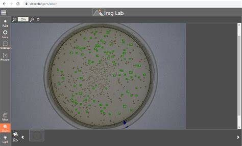 Team:Marburg/Collaborations - 2019.igem.org