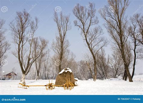 Old farm cart in the snow stock image. Image of frigid - 7263247