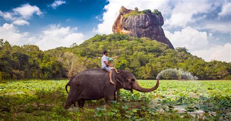 Reasons to Visit Sri Lanka in next holiday season | Travel with us!