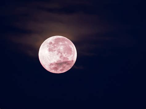 A Pink Moon Arrives on Friday, April 19: Here’s What It Means | Allure