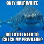 great white shark Meme Generator - Imgflip