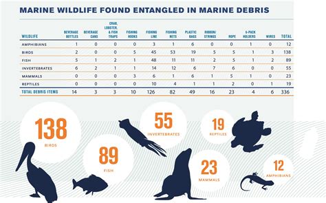 Disposables Debate: Can Recycling, Materials Innovation Make Plastic ...