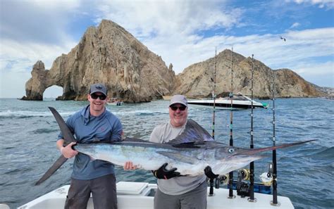 5 BEST Cabo Fishing Charters: Calendar & Prices [2024]