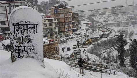 Shimla, Kufri receive fresh snowfall.