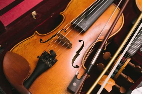 Types of Violins: Beginner's Guide [Upd. 2024]