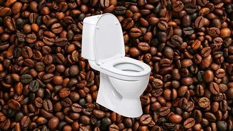 Why Does Coffee Make You Poop? | Mental Floss