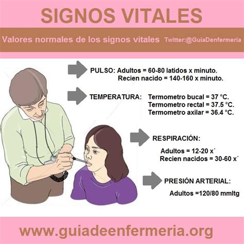 SIGNOS VITALES - GUÍA DE ENFERMERÍA