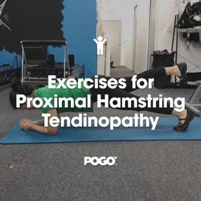 Exercises for Proximal Hamstring Tendinopathy | POGO Physio Gold Coast