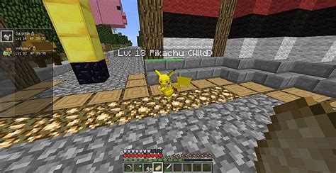 Pokemon Server [Pixelmon][Economy][24/7][Gyms][MobCash] Minecraft Server