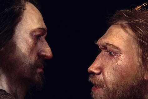 Science Seeks Clues To Human Health In Neanderthal DNA : Shots - Health ...