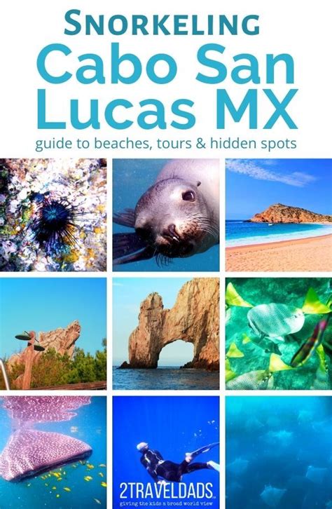 Snorkeling in Cabo San Lucas: maps, tours, beaches and more - 2TravelDads | Cabo san lucas ...