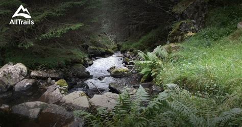 Best 10 Trails in Cairngorms National Park | AllTrails