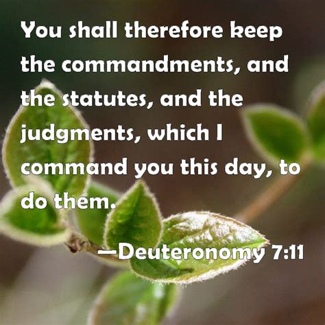 Deuteronomy 7:11 You shall therefore keep the commandments, and the ...