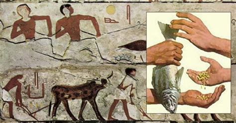 A Glimpse Into Ancient Egyptian Trade: How Goods Moved Across Empires ...