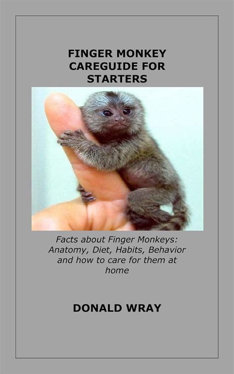 FINGER MONKEY CAREGUIDE FOR STARTERS: Facts about Finger Monkeys: Anatomy, Diet, Habits ...