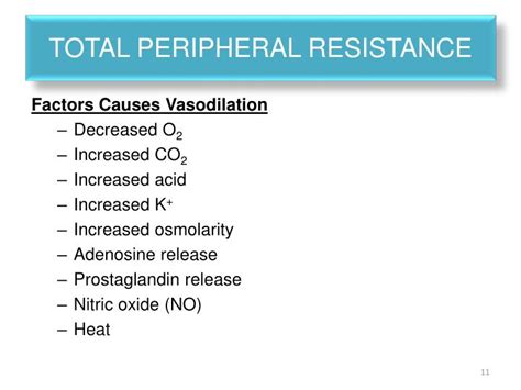 PPT - Regulation of Blood Pressure PowerPoint Presentation - ID:6198836