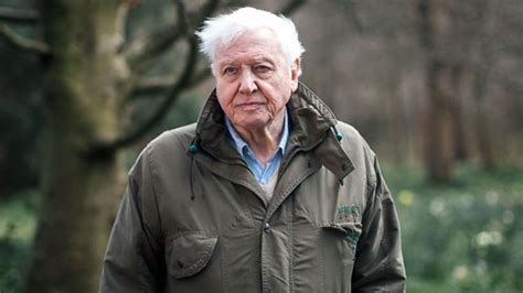 David Attenborough Is Teaching Kids About Wildlife Online | LIVEKINDLY