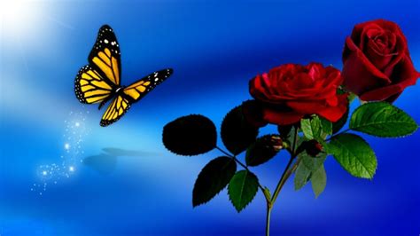 Butterfly And Rose Wallpapers - Wallpaper Cave