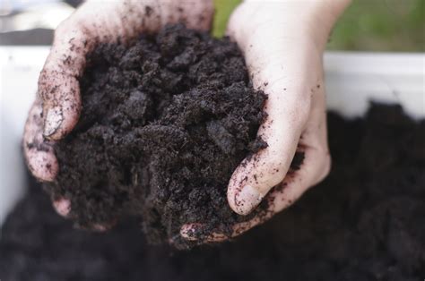 How to Improve Soil for Plants | The Parke Company