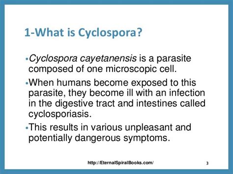 Cyclospora: How to Stay Safe