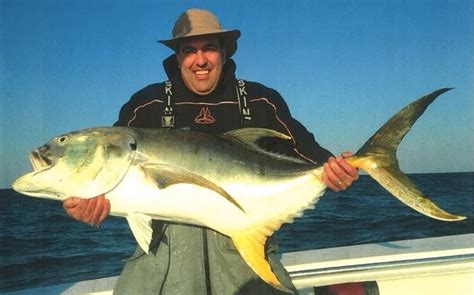 Jack Crevalle: All you Need to Know | Surf's Up Magazine