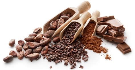 Cacao, Cocoa & Chocolate: What are the Differences and Do They Matter? - WellTuned by BCBST