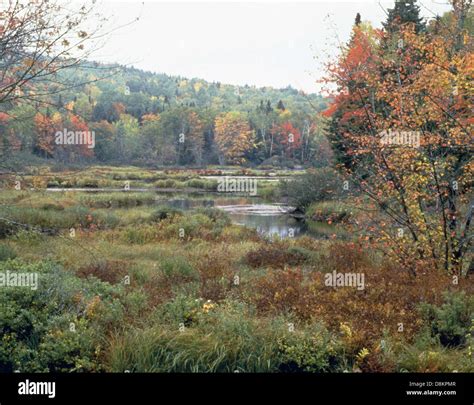 Lake Umbagog national wildlife refuge Stock Photo - Alamy