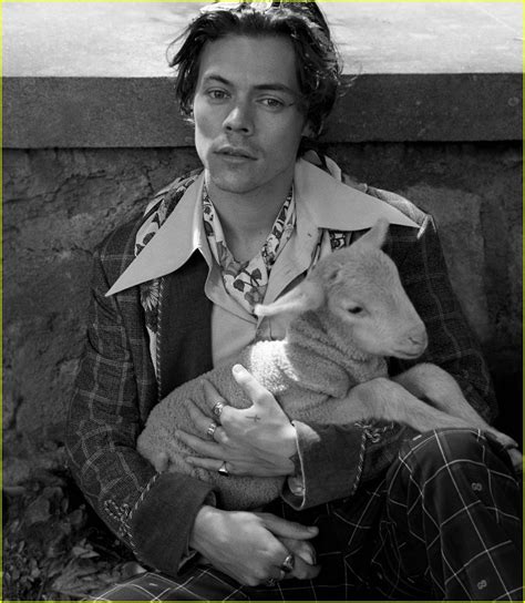 Harry Styles Strikes a Pose With Adorable Animals for Gucci's Cruise ...