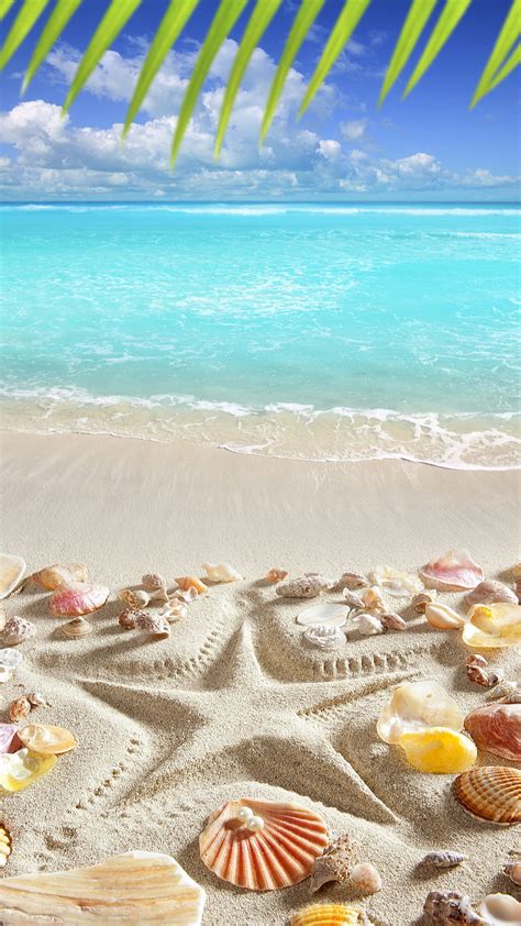 Beach, nature, sand, shells, starfish, summer, tropical, HD phone ...