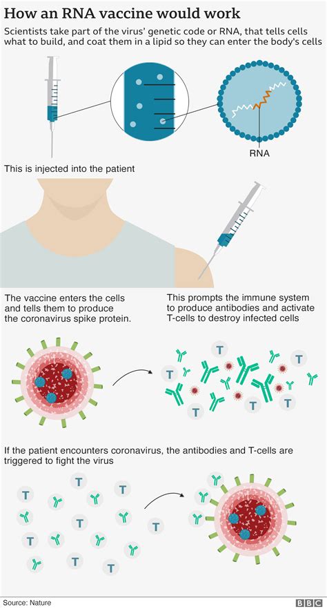 Covid vaccine: Pfizer says '94% effective in over-65s' - BBC News