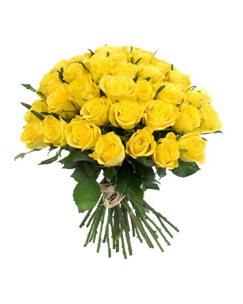 Bouquet flowers PNG