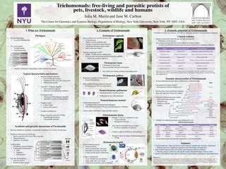 Trichomonads: free-living and parasitic protists of pets, livestock, wildlife and humans | PPT